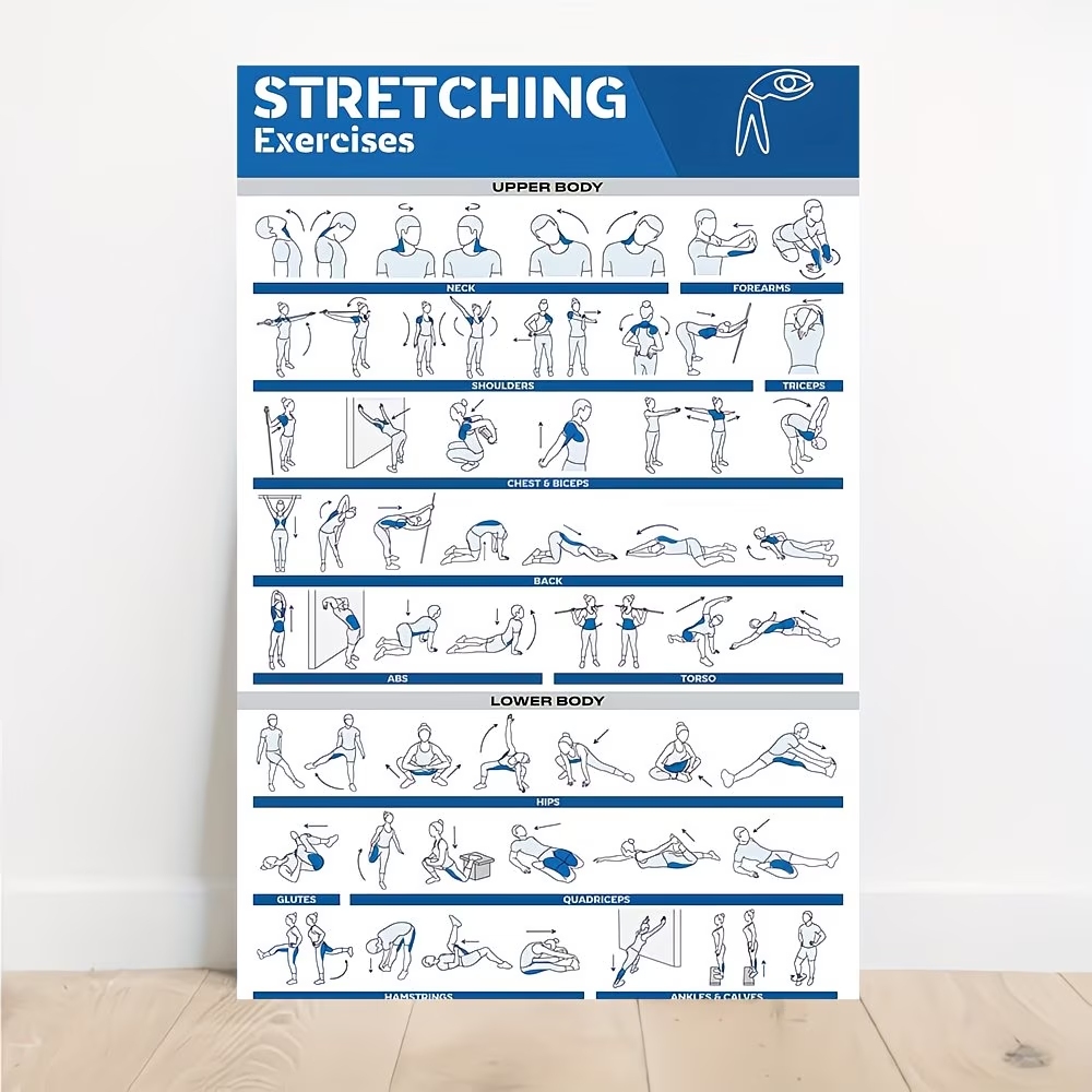 Home Gym Full Setup - Modern Labeled Full-Body Stretches For Gym