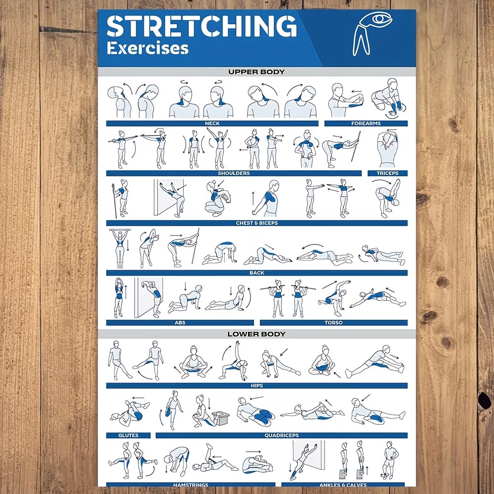 Modern Labeled Full-Body Stret – обзор и цена Home Gym Full Setup
